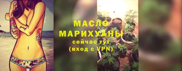 гидра Гатчина