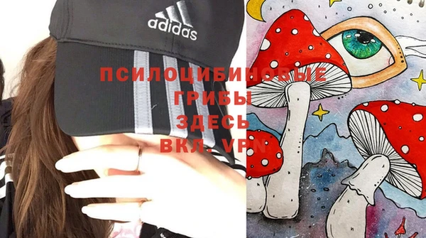 соль курить ск Дмитровск