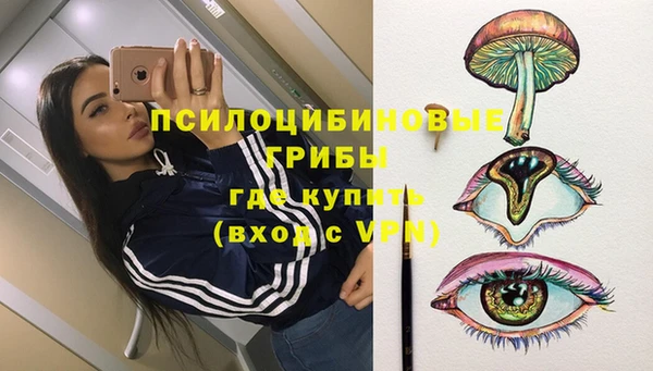 прущий лед Дмитров