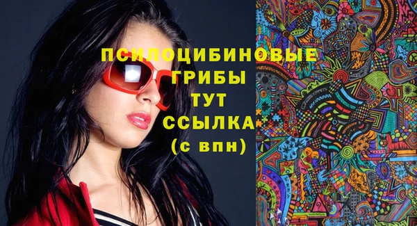 метадон Галич